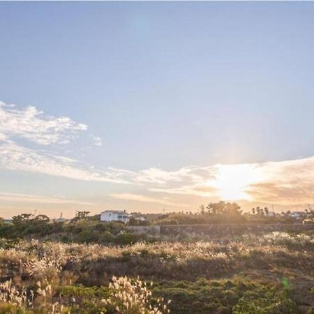 Jeju Washington Pension ソギポ エクステリア 写真