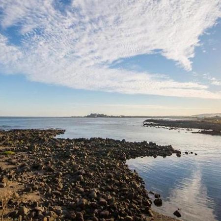 Jeju Washington Pension ソギポ エクステリア 写真