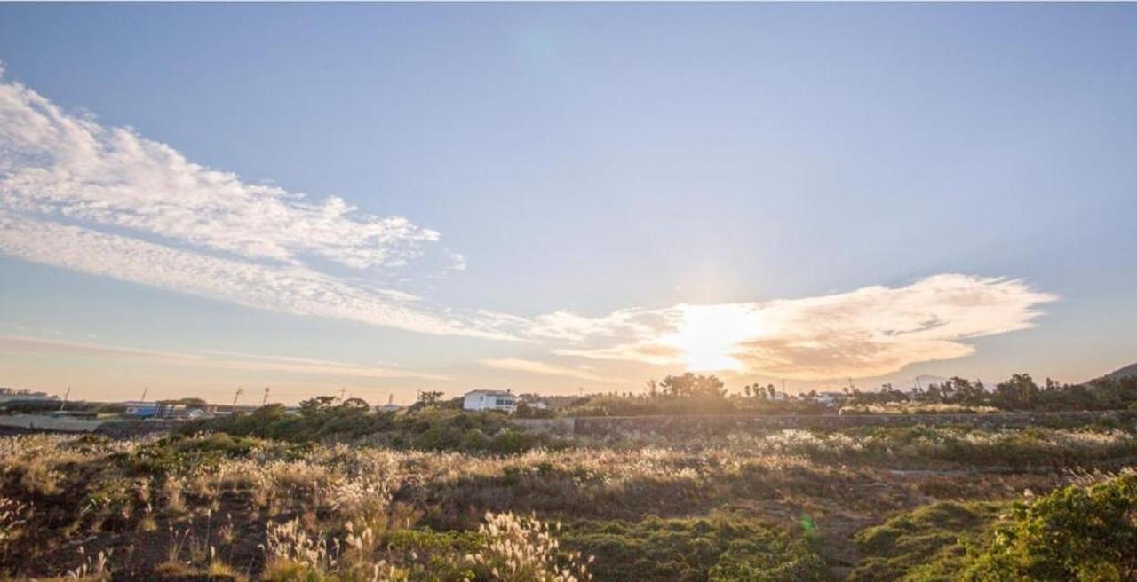 Jeju Washington Pension ソギポ エクステリア 写真